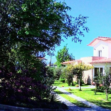 Casa Vale Do Rio Ovil Bed & Breakfast Baiao Ngoại thất bức ảnh